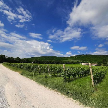 Agriturismo Andreis Alloggi Illasi Esterno foto