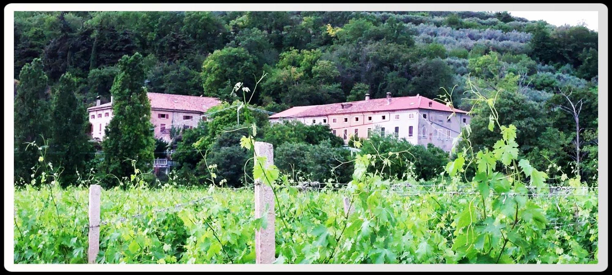 Agriturismo Andreis Alloggi Illasi Esterno foto